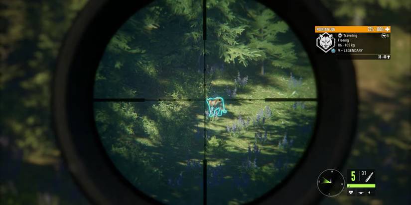 Player shoots a Mountain Lion with his rifle