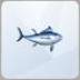 TS4 Bluefin Tuna