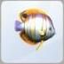 TS4 Butterflyfish