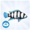 TS4 Cichlid