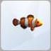 TS4 Clownfish