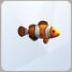 TS4 Clownfish