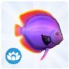 TS4 Discus