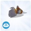 TS4 Exotic Goldfish