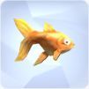 TS4 Goldfish