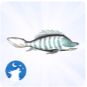 TS4 Luna Fish-1