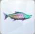 TS4 Parrotfish