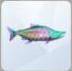 TS4 Parrotfish