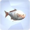 TS4 Perch