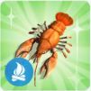 TS4 Red Crawdad