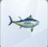 TS4 Tuna