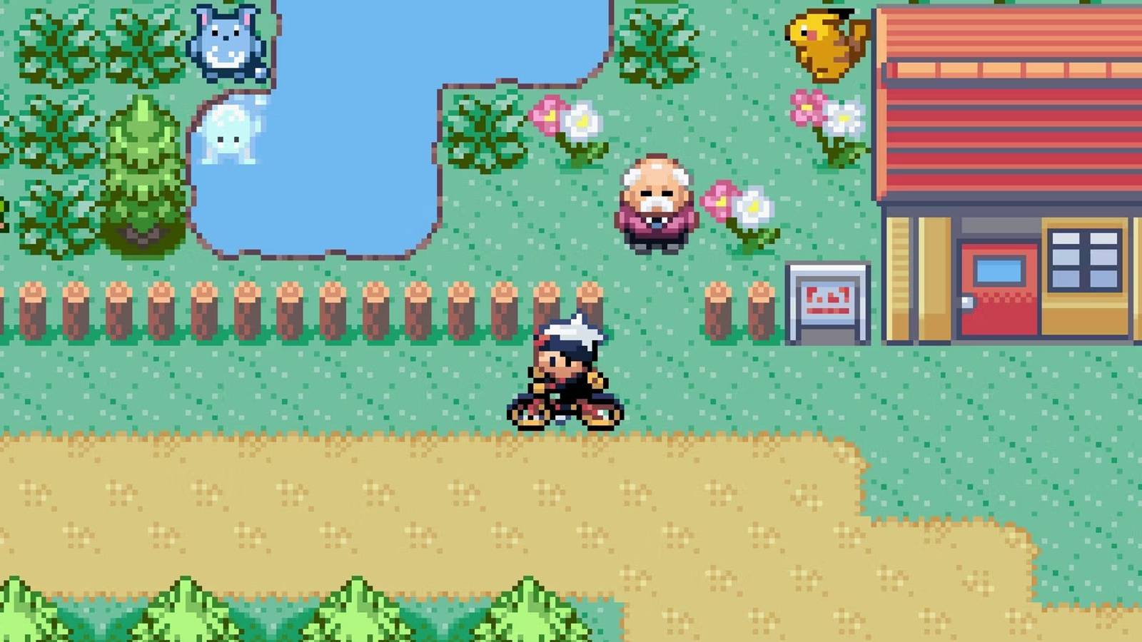 pokemon ruby sapphire gameplay bike