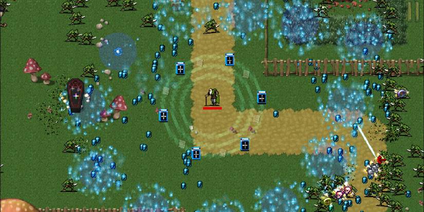 vampire survivors coffin