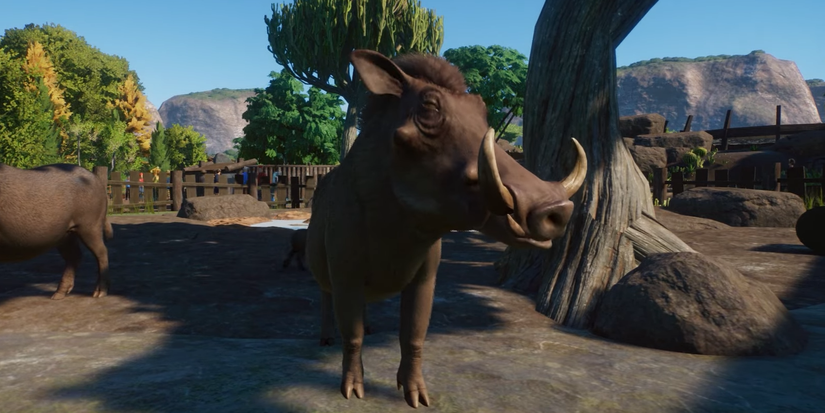 Planet Zoo Warthog