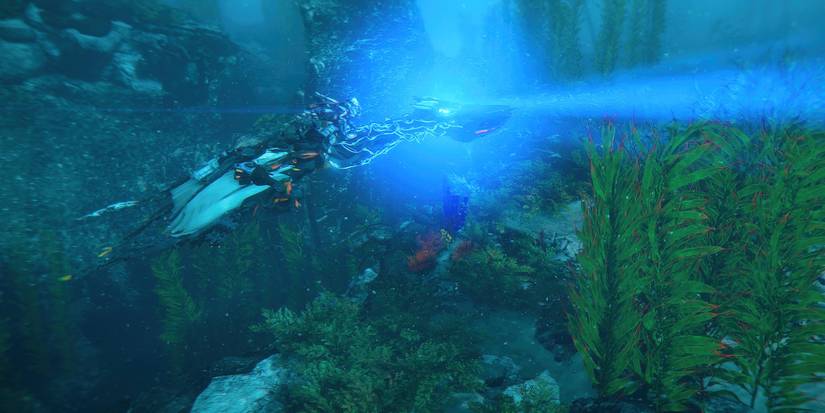 Waterwing swimming underwater