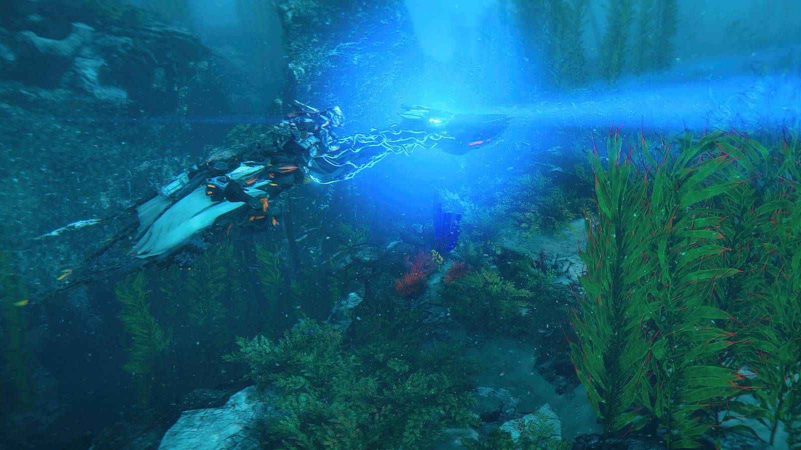 Waterwing swimming underwater