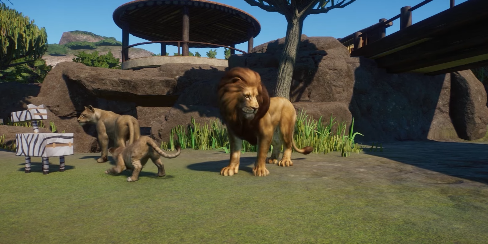 Planet Zoo West African Lion