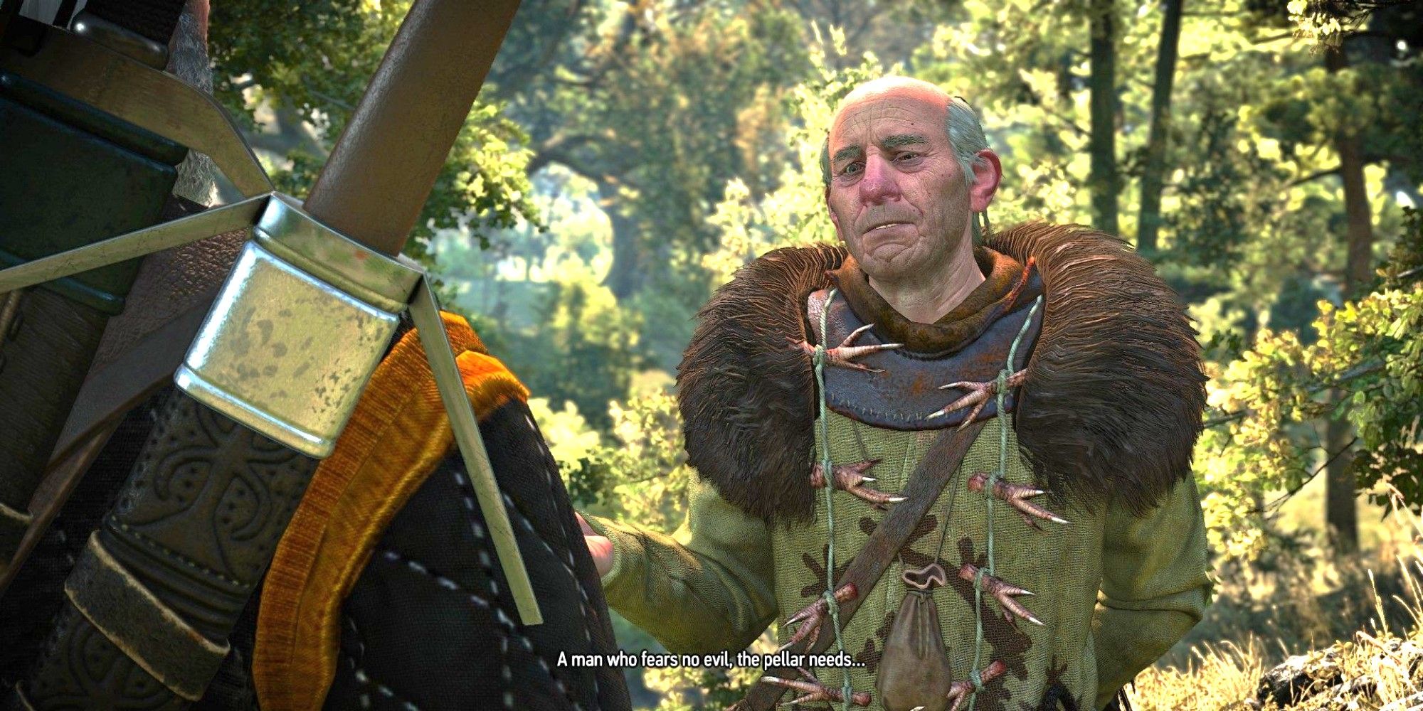 Witcher 3 The Pellar