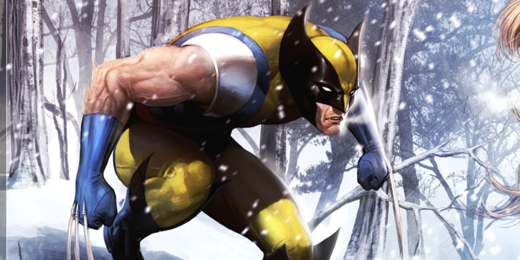 Wolverine vs Sabretooth (cut-off) Snow