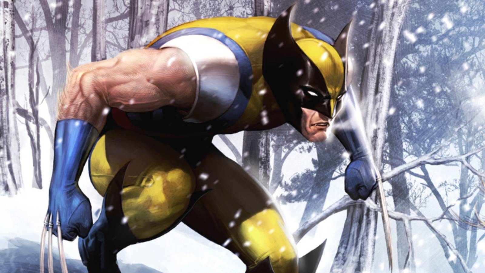 Wolverine vs Sabretooth (cut-off) Snow
