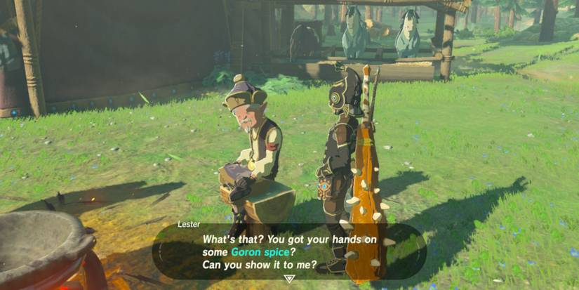Zelda-Breath-Of-The-Wild-Goron-Spice-02
