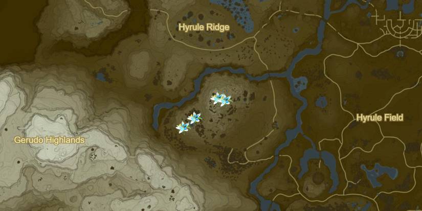 Zelda-Breath-of-the-Wild-Where-To-Get-Silent-Princesses-01