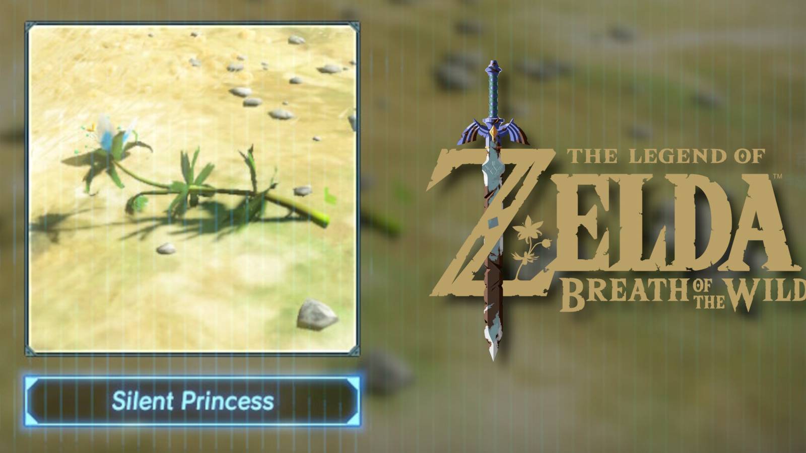 Zelda-Breath-of-the-Wild-Where-To-Get-Silent-Princesses-02