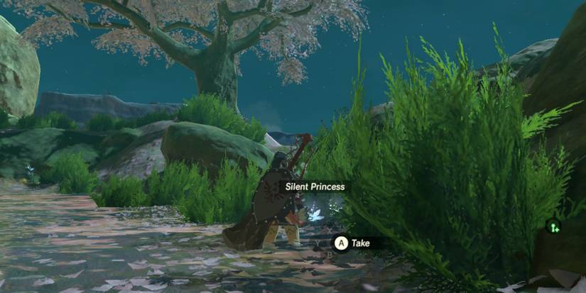 Zelda-Breath-of-the-Wild-Where-To-Get-Silent-Princesses-03