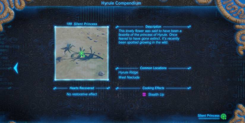 Zelda-Breath-of-the-Wild-Where-To-Get-Silent-Princesses-04