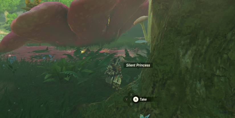 Zelda-Breath-of-the-Wild-Where-To-Get-Silent-Princesses-05