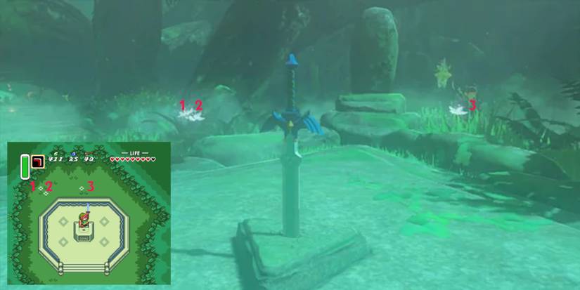 Zelda-Breath-of-the-Wild-Where-To-Get-Silent-Princesses-07