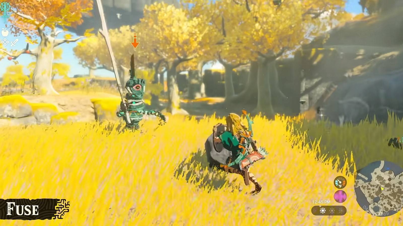 zelda tears of the kingdom fuse combat