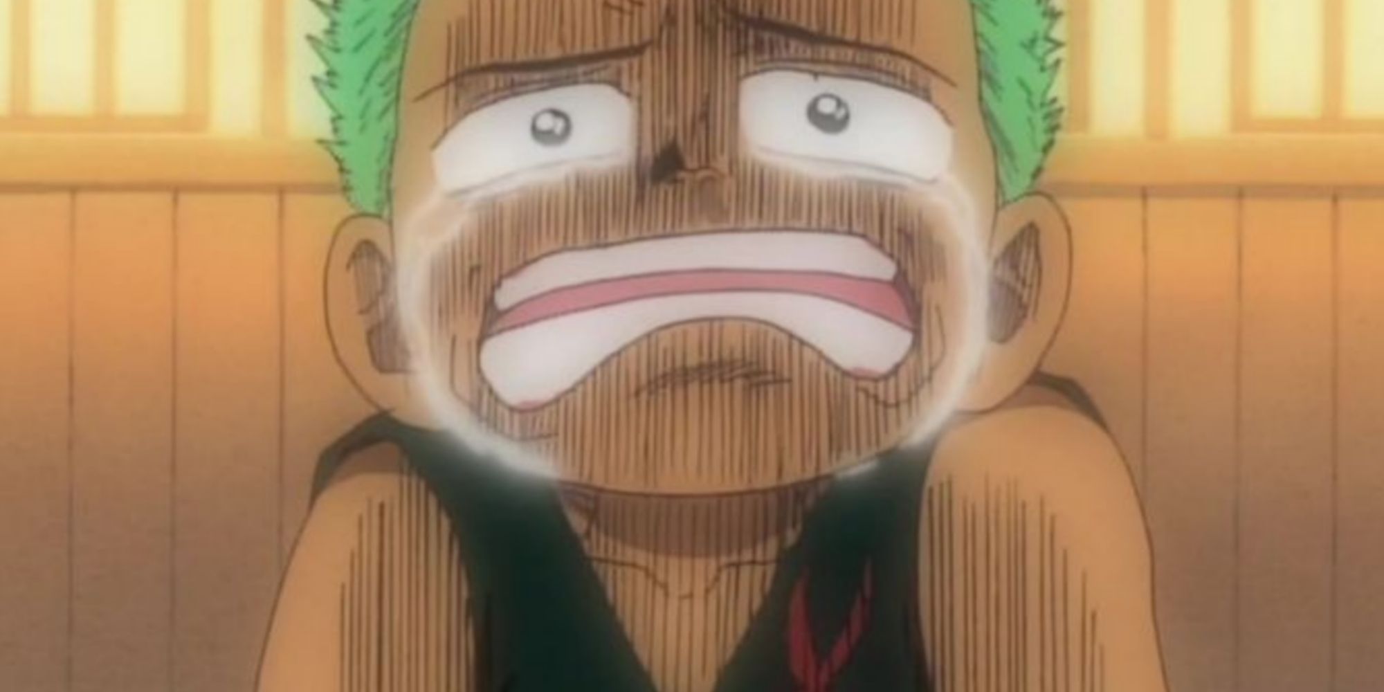 One Piece: 11 Powerful Quotes By Zoro - News