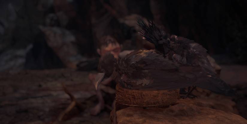 Gollum approaches two birds in The Lord of the Rings: Gollum