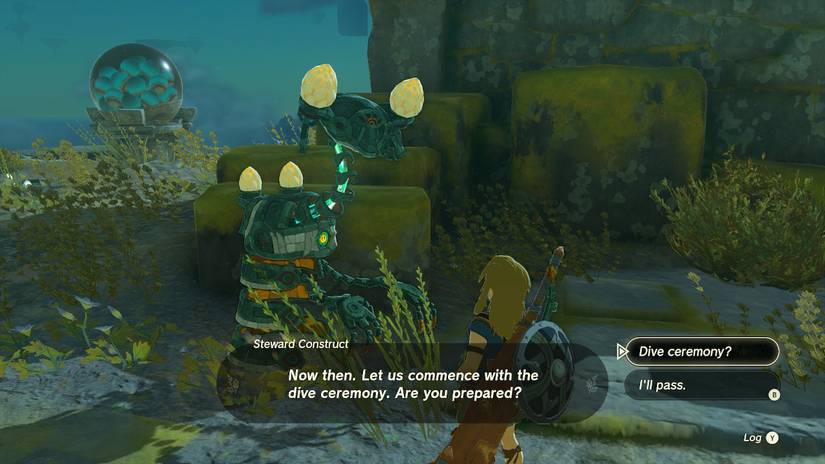 steward construct zelda totk dive ceremony