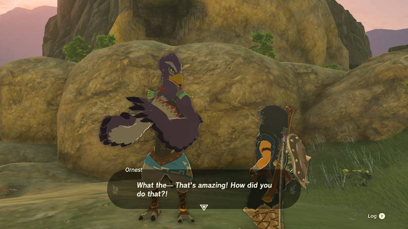 Zelda Tears of the Kingdom Rito Training Minigame Walkthrough Ornest Perfect Score