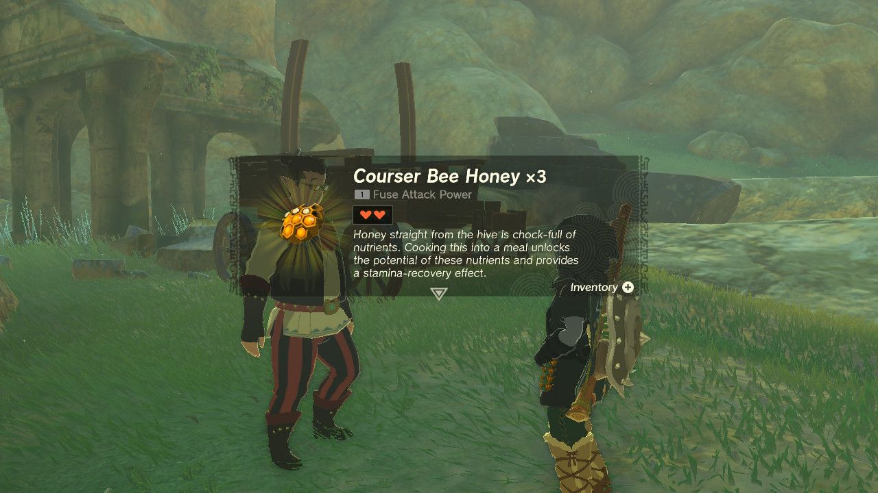 Zelda Tears of the Kingdom Musician Quest Courser Courser Bee Honey Mine