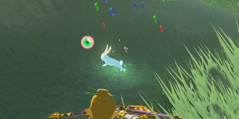 A Blupee in the wild