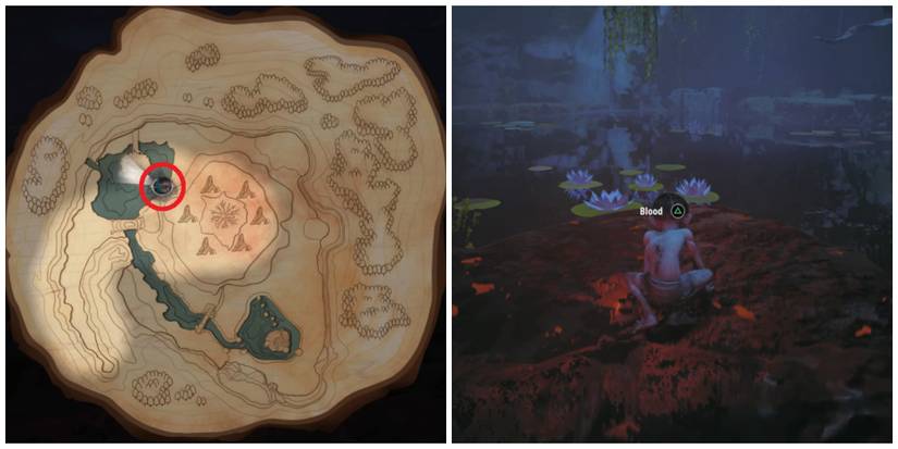 Gollum finds blood in The Lord of the Rings: Gollum