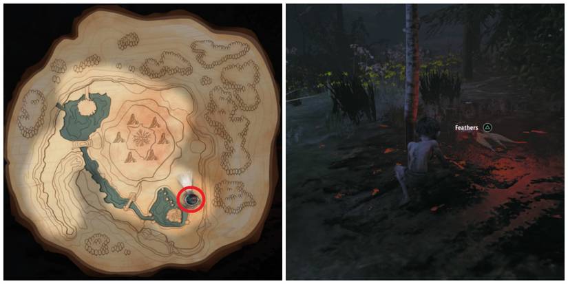 Gollum finds Feathers in The Lord of the Rings: Gollum