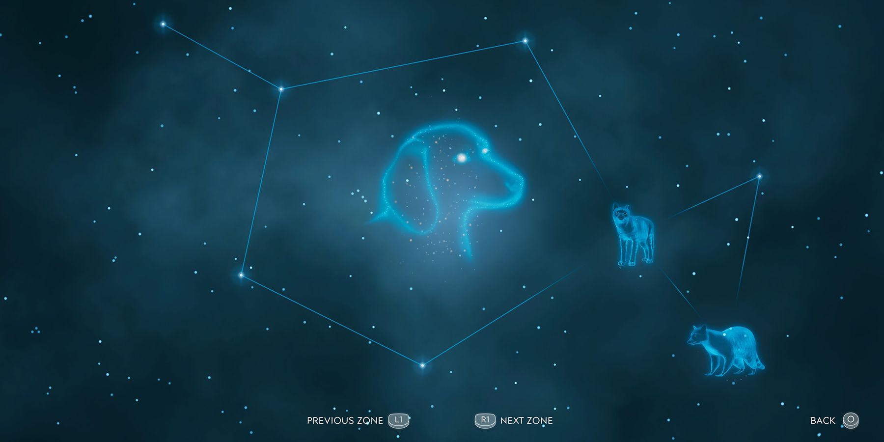 after us dog constellation map