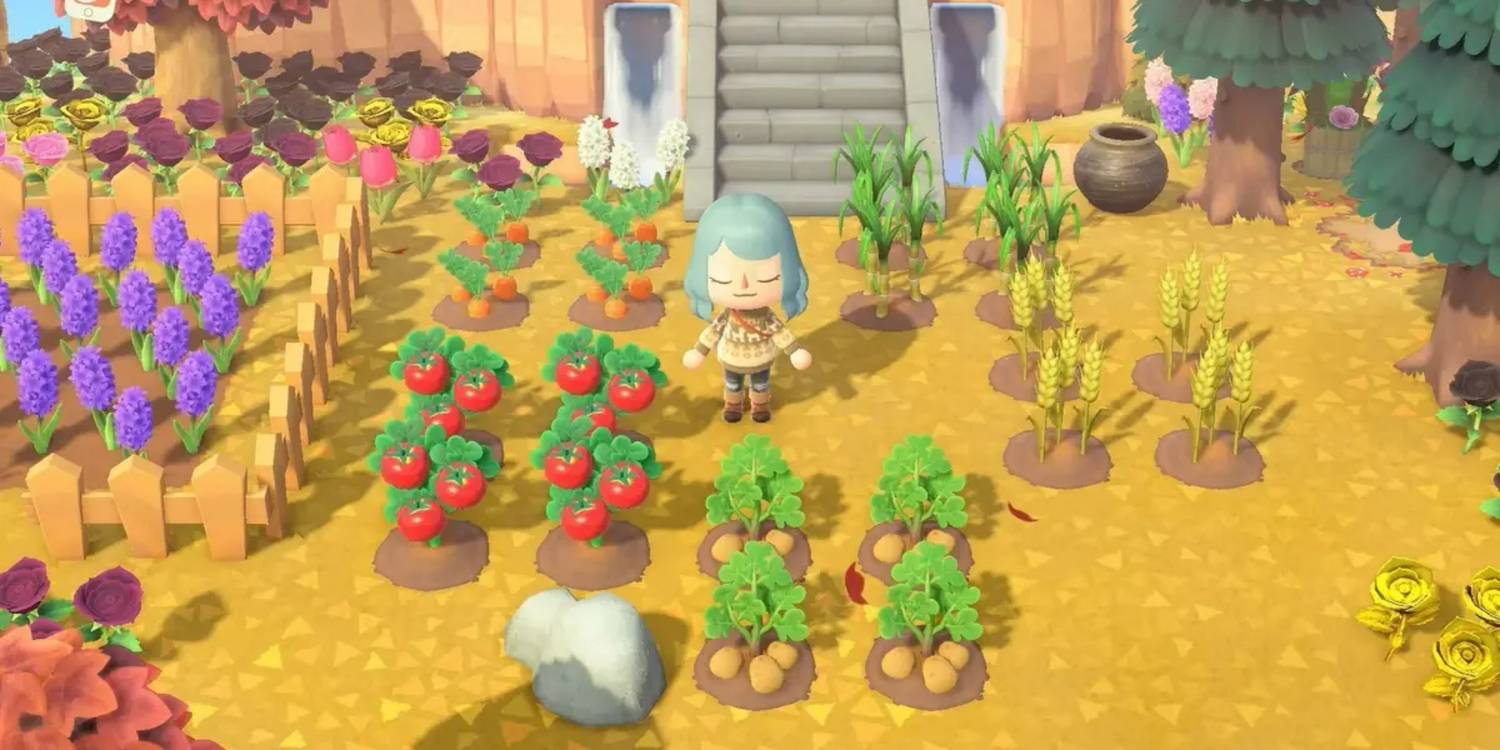 Gameplay from Animal Crossing showing the character standing in a field surrounded by fruit trees and various plants