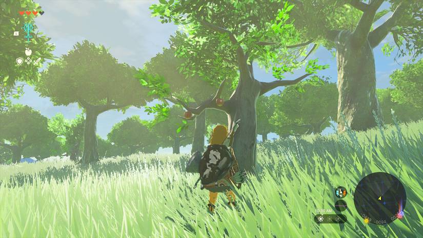 apple tree hyrule zelda tears of the kingdom
