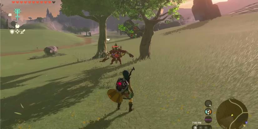 Zelda: Tears Of The Kingdom  