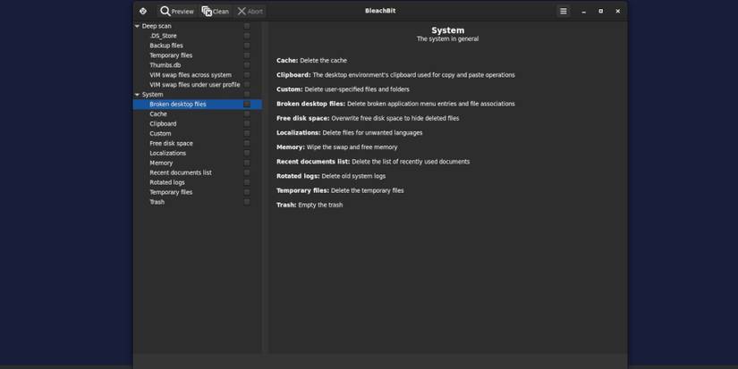 BleachBit on Steam Deck