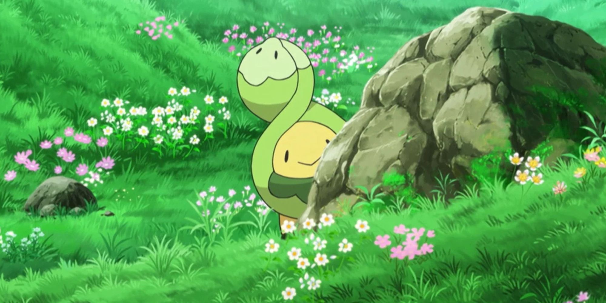 Budew In The Pokemon Anime