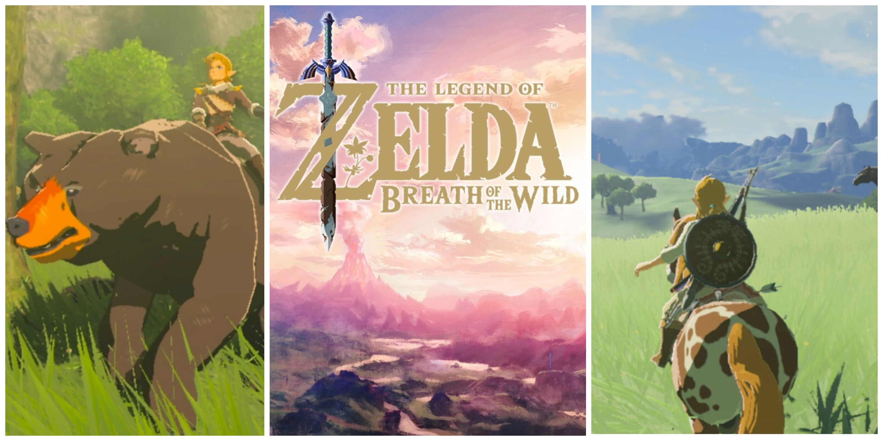 Zelda: Underrated Breath Of The Wild Features