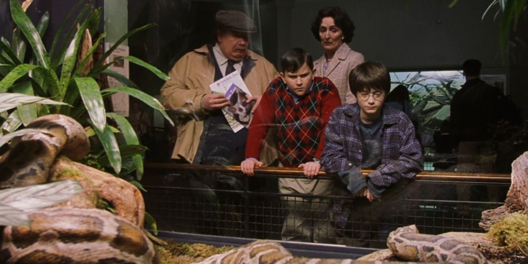 Vernon, Petunia and Dudley Dursley and Harry at the Zoo in Harry Potter.