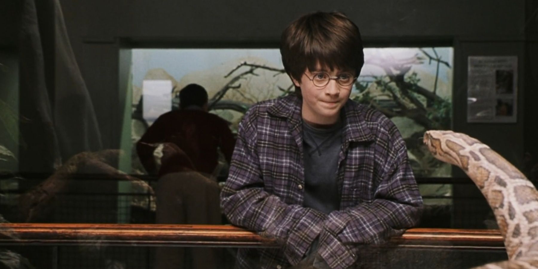 Harry talking to a Python in Harry Potter and The Sorcerer's Stone.