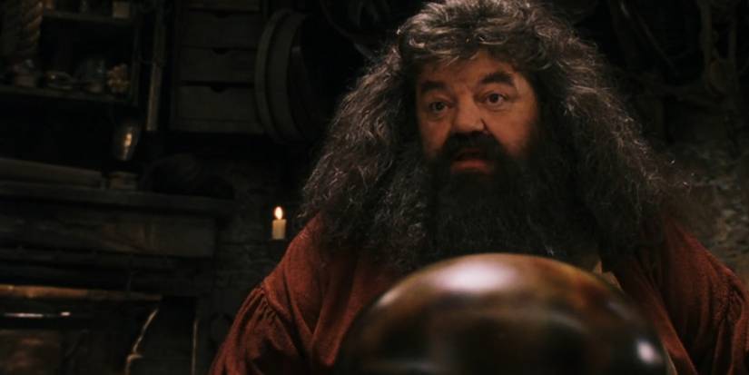 Hagrid tries to hatch a dragon egg in Harry Potter and the Sorcerer's Stone.